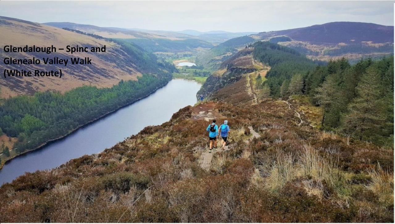 Glendalough Scenery Farmhouse Roundwood Bagian luar foto